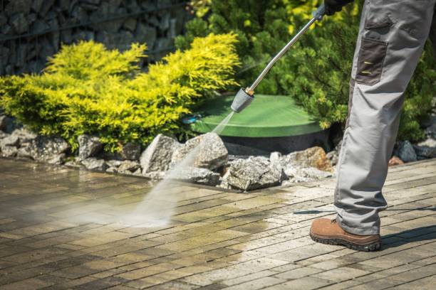 Best Warehouse Cleaning  in Frackville, PA